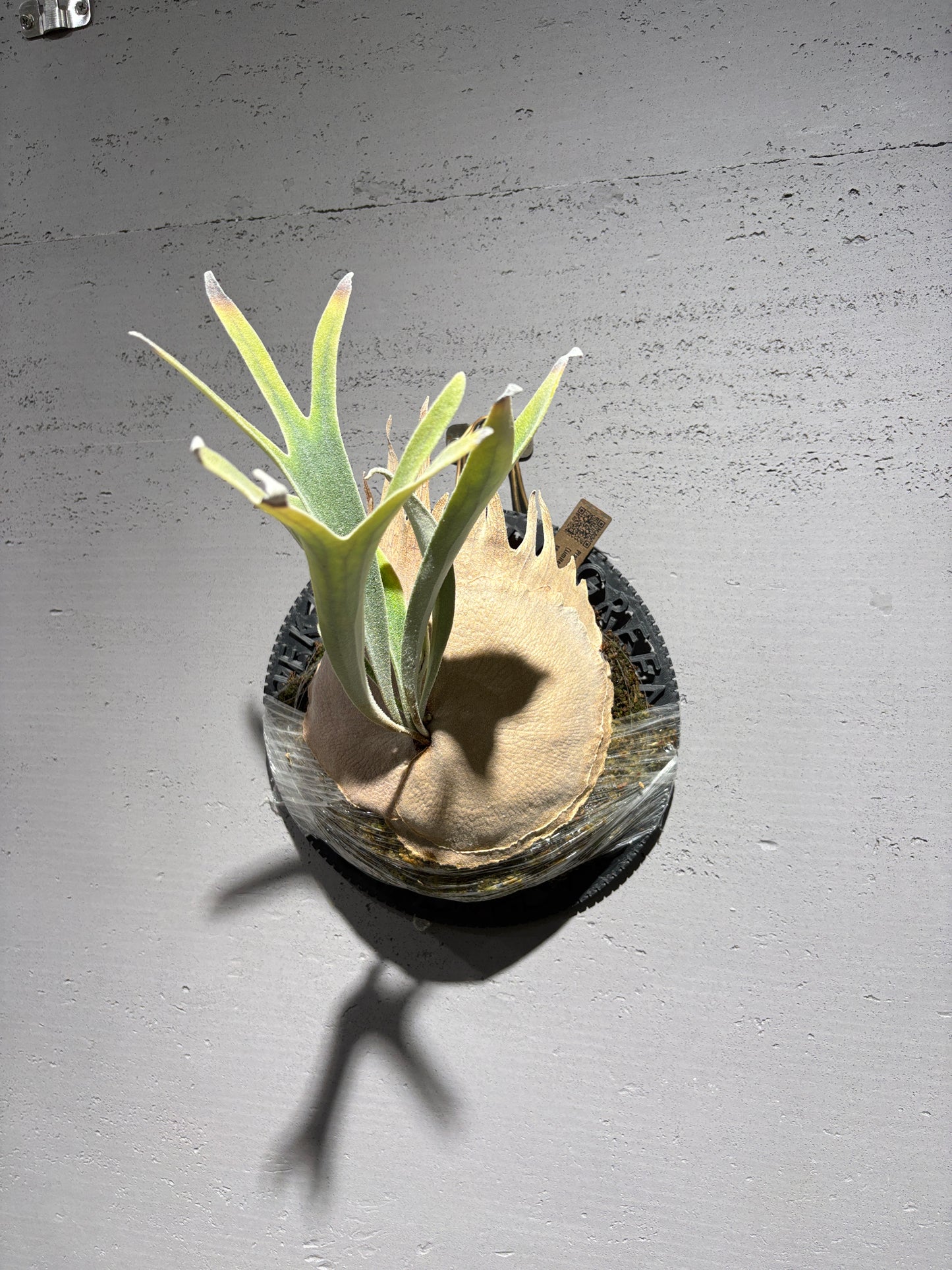 日本 3D立體打印植板 uekiya植木屋