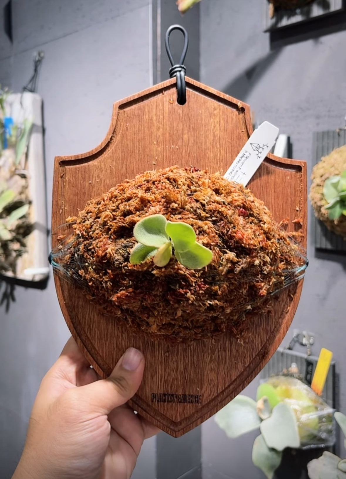 Plantxperience 盾牌