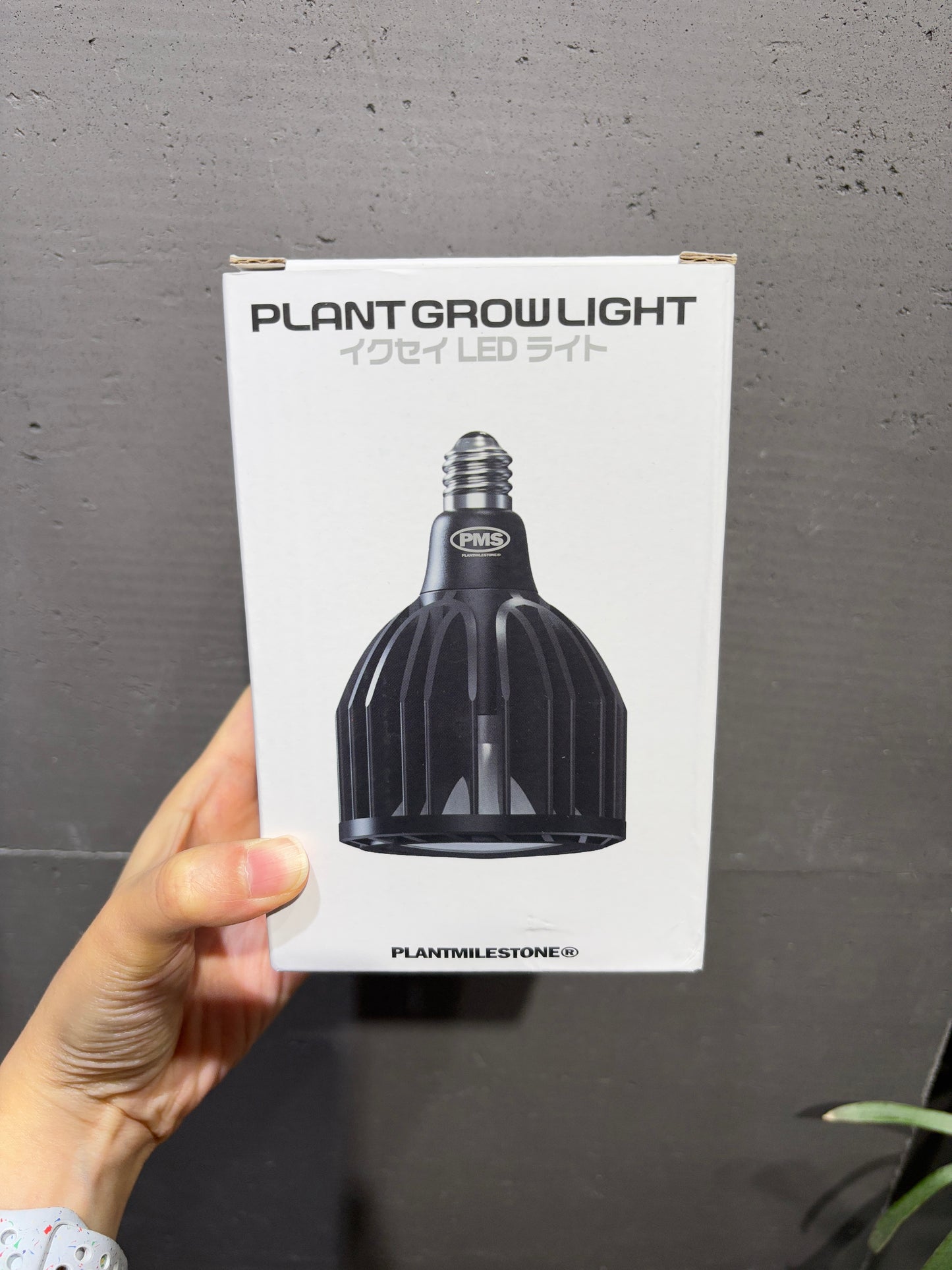 PMS 植物燈